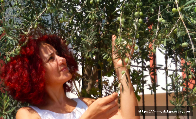 Azerbaycan’dan eğitim için geldi, bitkisel ürünler üretip şirket kurdu, şimdi hedefinde ihracat var!