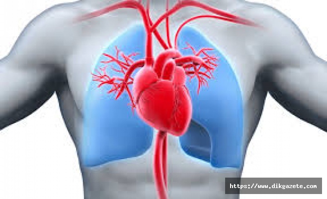 'Kalp hastalıkları gençlerde ve sporcularda ani ölüm nedeni'