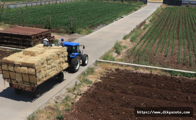 Tarım ve Orman Şurası i&ccedil;in beyin fırtınası