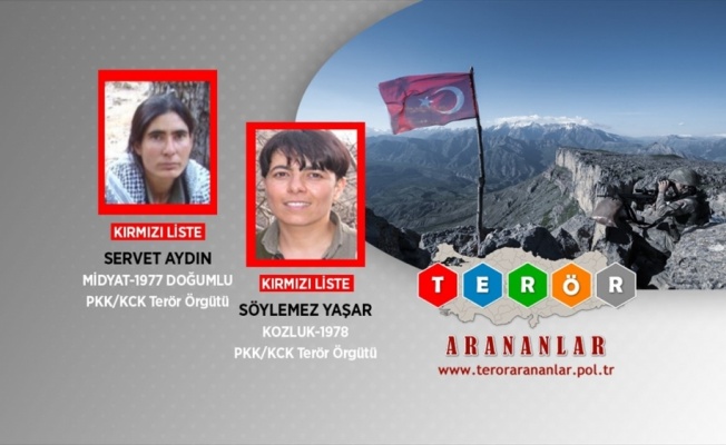 Gara'da etkisiz hale getirilen teröristler kırmızı kategoriden