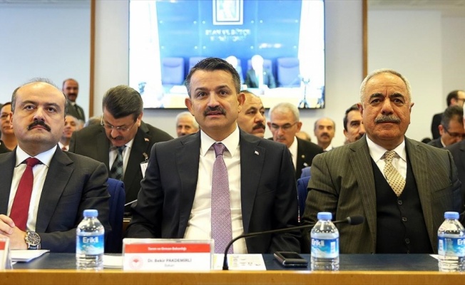 Bakan Pakdemirli: Tarımsal destekler 2020'de 22 milyar liraya çıkacak'