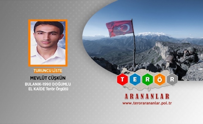 Terör örgütü El Kaide üyesi İstanbul'da yakalandı