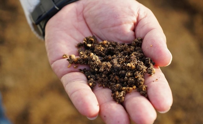 Zeytin çekirdeğinden üretilen çevreci yakıta talep artıyor