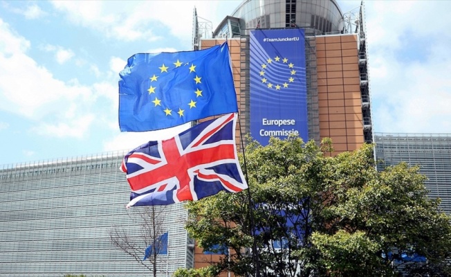 AB'de 2019'a Brexit ve AP seçimleri damga vurdu