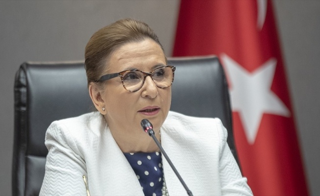 Bakan Pekcan: İhracat&ccedil;ıların hususi pasaport s&uuml;resi 4 yıla &ccedil;ıkarıldı