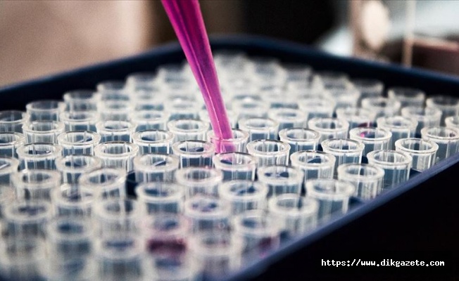 Pentagon'dan ordu mensuplarına DNA testi uyarısı