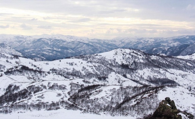 Tunceli'de doğa karla kaplanınca eşsiz güzellikler ortaya çıktı