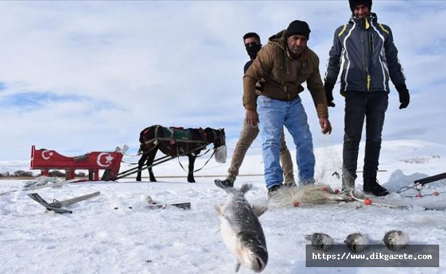 Atlı kızaklarla ulaştıkları gölde buzu kırıp balık avlıyorlar