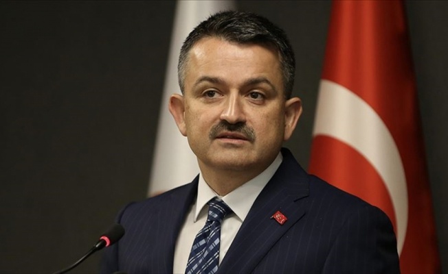 Tarım ve Orman Bakanı Pakdemirli: Kıbrıs isale hattında kopukluk g&ouml;zlemlendi
