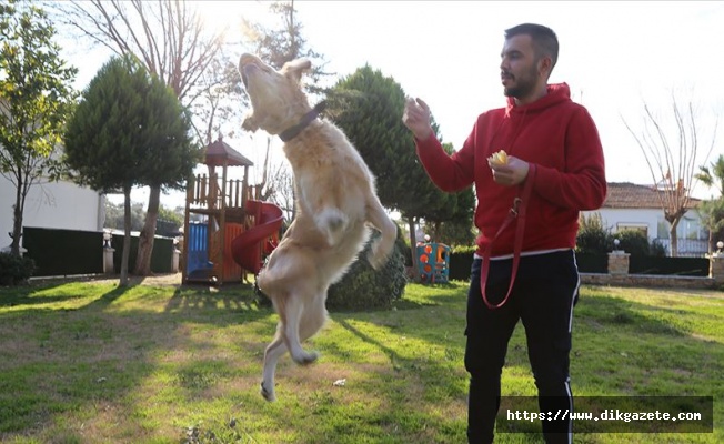 'Paylaşılamayan köpek' Marley ile üniversiteli Osman'ın 2,5 yıllık hasreti son buldu
