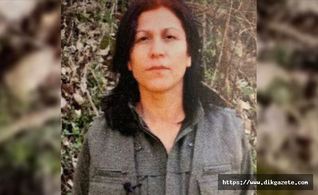 PKK'nın kadın yapılanmasının sözde üst düzey sorumlularından Halide Tarı etkisiz hale getirildi