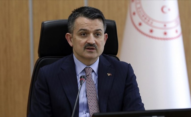 Tarım ve Orman Bakanı Pakdemirli: &Uuml;lke &ccedil;apında t&uuml;m at yarışları ge&ccedil;ici olarak ertelenmiştir