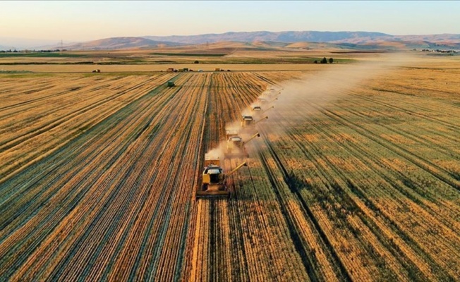 Kırsal kalkınma için 228 projeye 195 milyon lira hibe sağlanacak