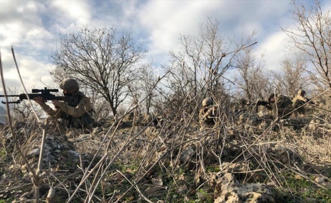 Mardin'de terör örgütü PKK'ya yönelik operasyon başlatıldı