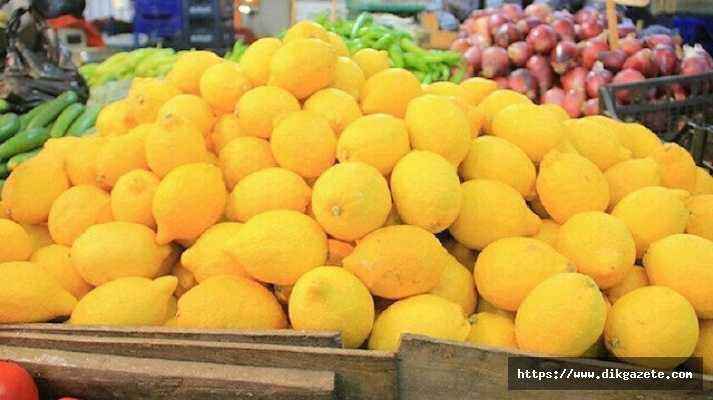Rusya'dan "Türk limonu" açıklaması: Kıtlık olmaz, başka ülkelerden alırız