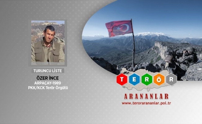 Ağrı'da etkisiz hale getirilen 3 teröristten birinin gri kategoride arandığı belirlendi