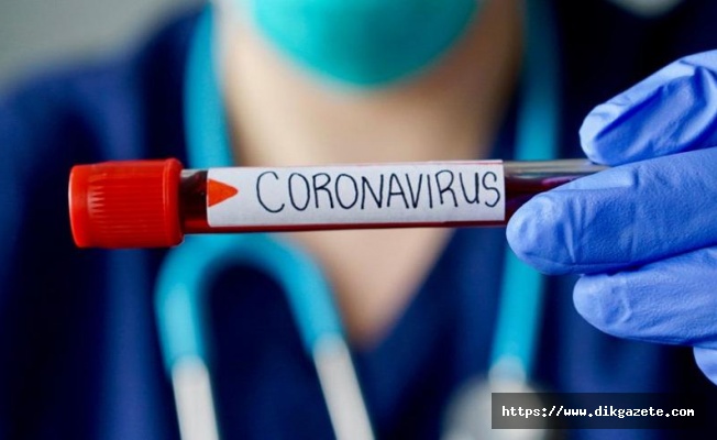 Antalya&#039;dan Rusya&#039;ya getirilen 6 vatandaşta koronavirüs tespit edildi