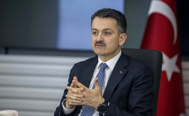 Bakan Pakdemirli: Yetiştiricilerimize hayvan başı 65 lira yem desteği veriyoruz