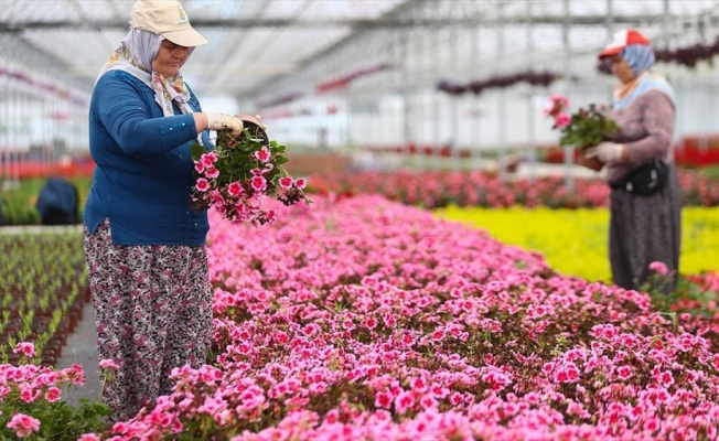 Çiçekçiler &#039;Anneler Günü&#039;nde&#039; sokağa çıkma kısıtlamasından muafiyet istiyor