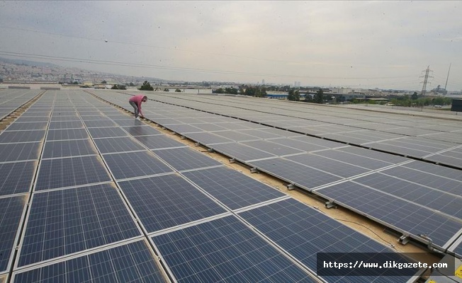 İzmirli akıllı teknoloji firması enerjisini 'güneş'ten alıyor