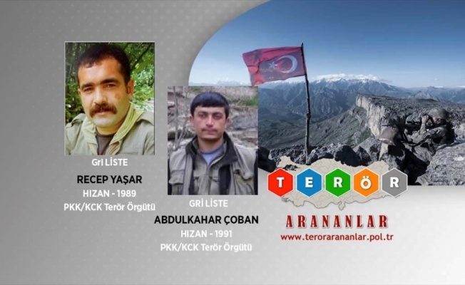 Bitlis'te etkisiz hale getirilen teröristlerin gri listede oldukları belirlendi