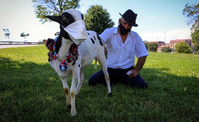Evinde beslediği kuzusuna sosyal hayatta maske takarak farkındalık yaratıyor