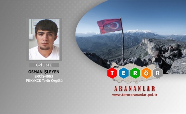 İ&ccedil;işleri: Tunceli'de biri Gri Liste'de 3 ter&ouml;rist etkisiz hale getirildi