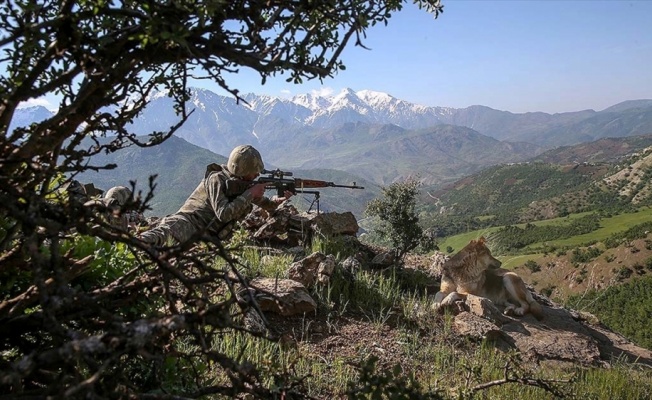 Şırnak ve Elazığ'da 4 terörist etkisiz hale getirildi