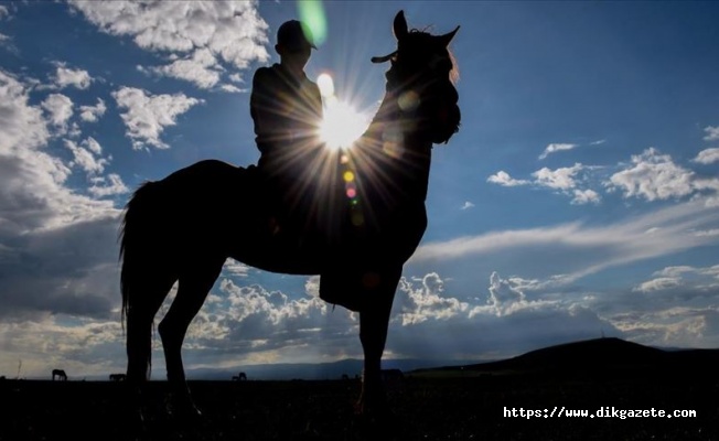 Yahni Dağı&#039;nda doğada otlatılan atlar ilgi çekiyor