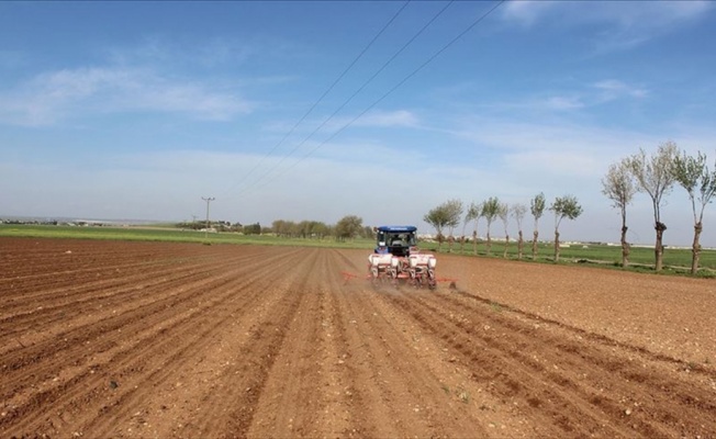 Kırsal kalkınmaya son iki yılda 855 milyon lira hibe desteği