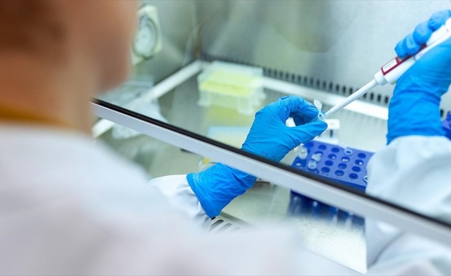 Alman Paul-Ehrlich Enstitüsü Kovid-19 aşısının geliştirmesi konusunda umutlu