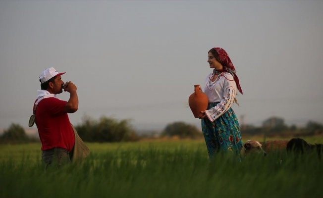 Çeltik tarlası fotoğrafçılara doğal stüdyo oldu