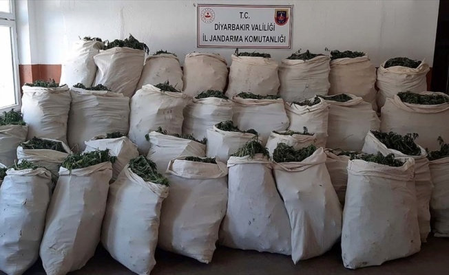 Diyarbakır'da 1 milyon 119 bin k&ouml;k kenevir ve 756 kilogram esrar ele ge&ccedil;irildi