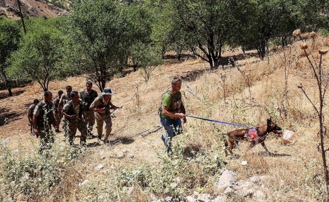 Diyarbakır'da kaybolan 4 yaşındaki Miraç'ın bulunması için arama çalışmaları devam ediyor