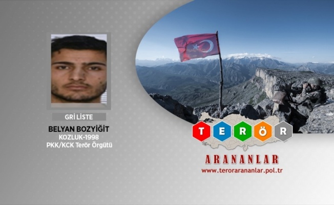 'Gri kategori'de aranan terörist Belyan Bozyiğit etkisiz hale getirildi