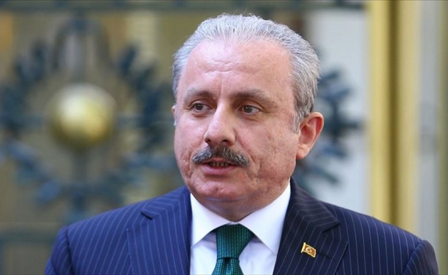 TBMM Başkanı Şentop: Dünyada insan haklarından, hukuktan, adaletten bahsedebilecek en son devlet Fransa'dır