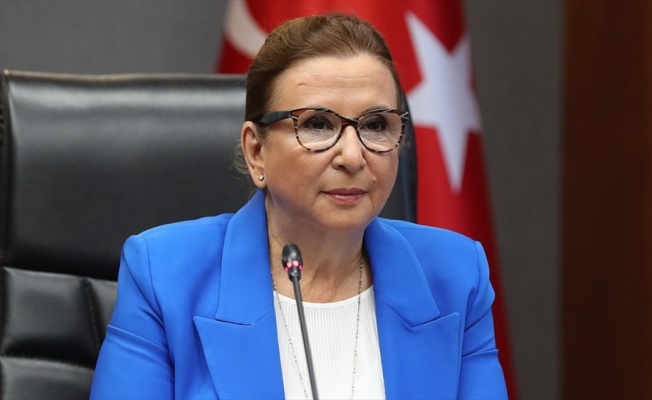 Ticaret Bakanı Pekcan: İkinci el taşıt ticareti yapan işletmelerin 31 Ağustos'a kadar yetki belgesini alması gerekiyor