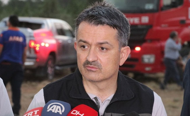 Bakan Pakdemirli: 24 orman yangınının 13'ü kontrol altına alındı, 8'i söndürüldü