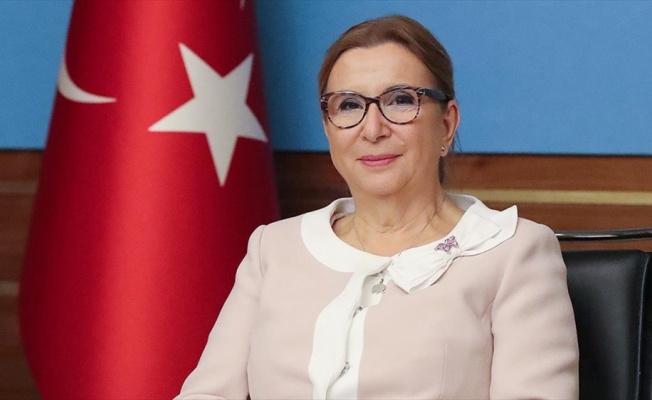 Ticaret Bakanı Pekcan: Tasfiyelik araç ve eşya satışlarına ilgi Kovid-19'a rağmen arttı