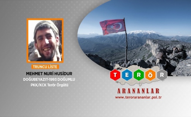 Turuncu kategoride aranan ter&ouml;rist etkisiz hale getirildi