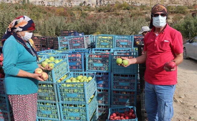 Esentepe Mahallesi'nin emekli ve üniversite mezunu çiftçileri