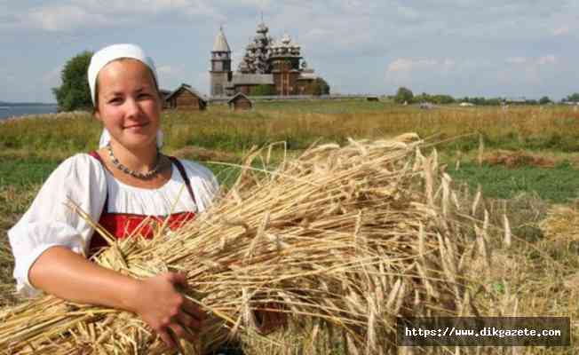 Türkiye 3. sırada!.. Rusya'nın tarım ürünleri ihracatı yüzde 16 artışla 26,5 milyar dolara ulaştı