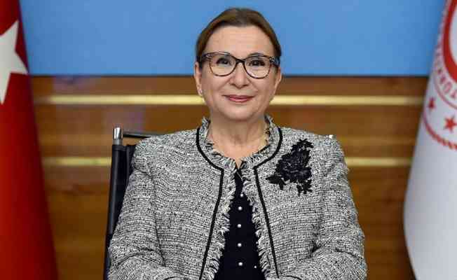 Ticaret Bakanı Pekcan: 2020'de sınır kapılarından 3,4 milyon ticari araç geçiş yaptı