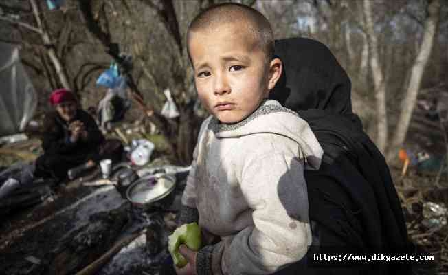 Alman STK Mare Liberum: Ege sığınmacılar için hukukun geçerli olmadığı bir yer oldu