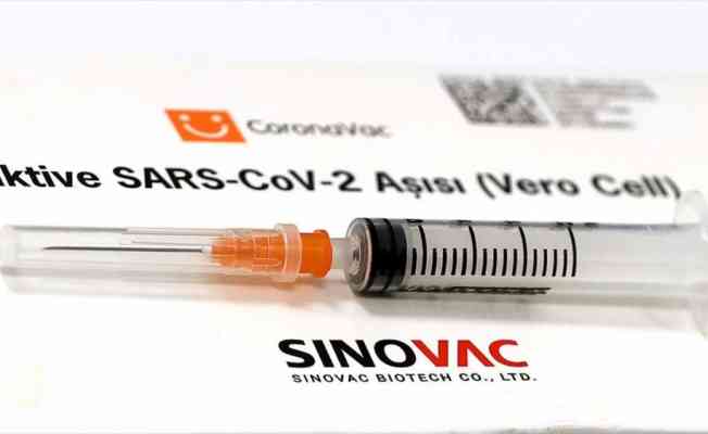 Çin'in geliştirdiği Kovid-19 aşısı Sinovac'ın dünyada kullanımı artıyor