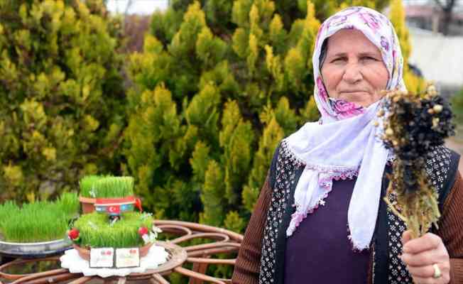 Nevruz Bayramı'nın kadim geleneği: Semeni