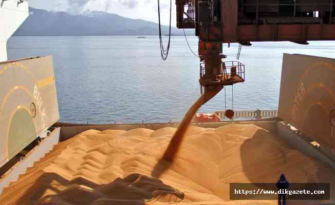 Rusya, geçen yıl yurtdışına rekor miktarda gıda ve tarım ürünleri sattı