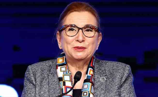 Ticaret Bakanı Pekcan ile ABD'nin yeni ticaret yönetimi arasındaki ilk resmi temas bugün gerçekleşecek