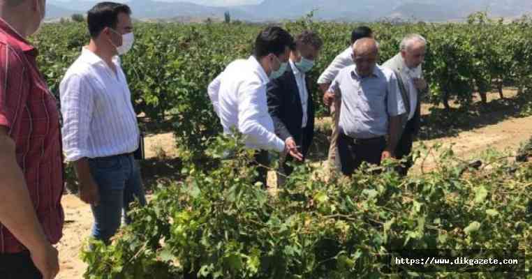 CHP Grup Başkanvekili Özel Manisa'da zirai dondan zarar gören bağları inceledi