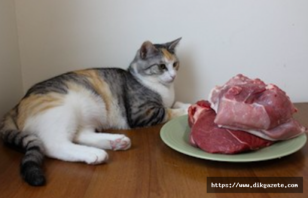 Rusya&#039;da sığır eti tüketimi son 10 yılda ciddi düzeyde düştü